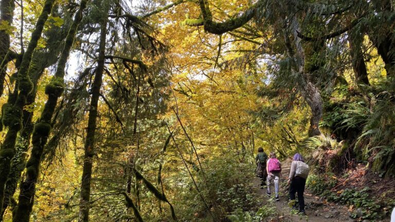 Students Hiking