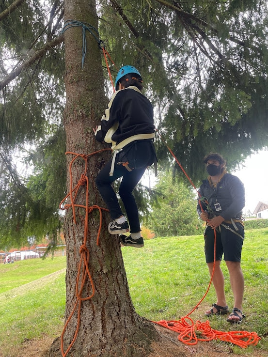 Climbing practice tree gear