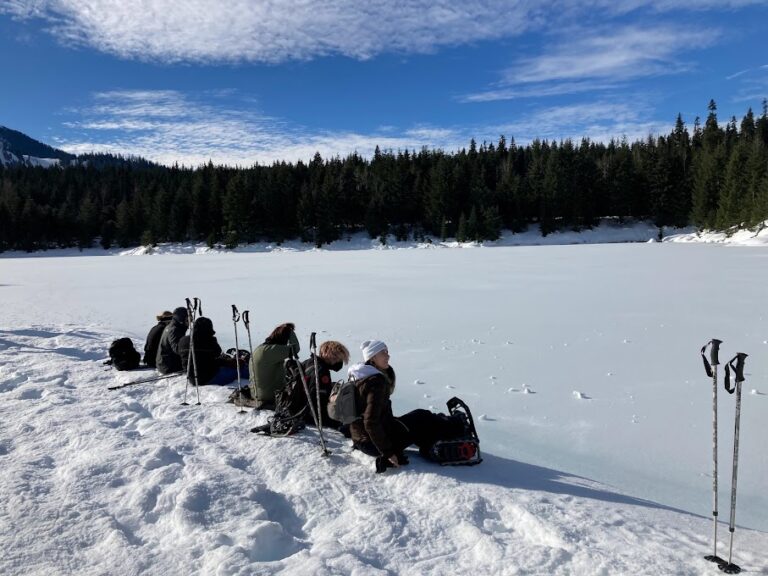 Students look out over a frozen pond