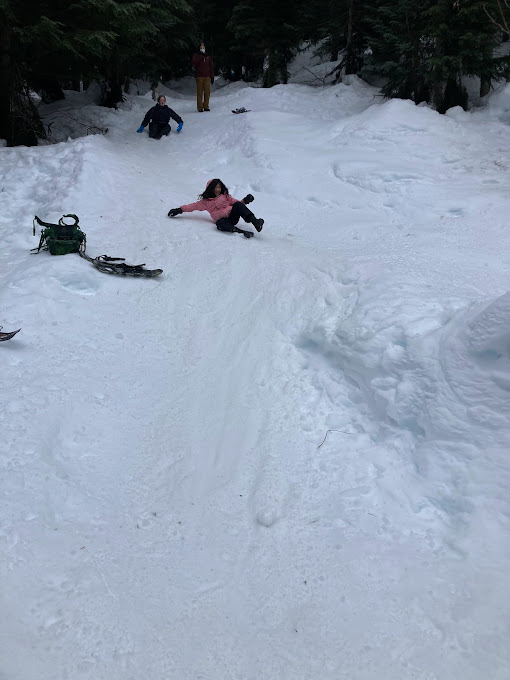 Students sliding down a snowhill