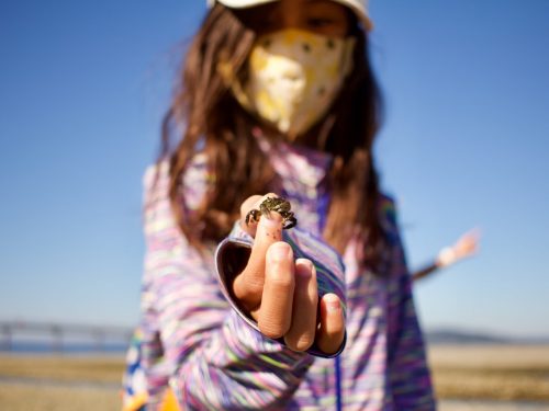 Beach-crab-tidepooling